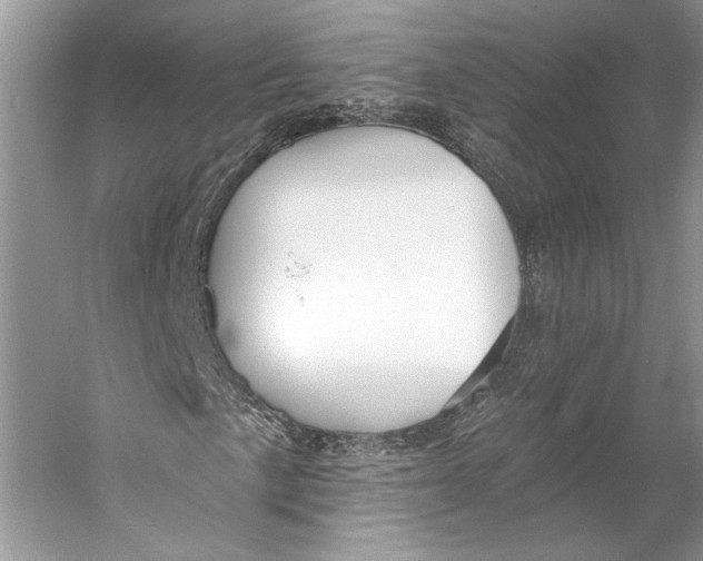 X0000053121057200508081246