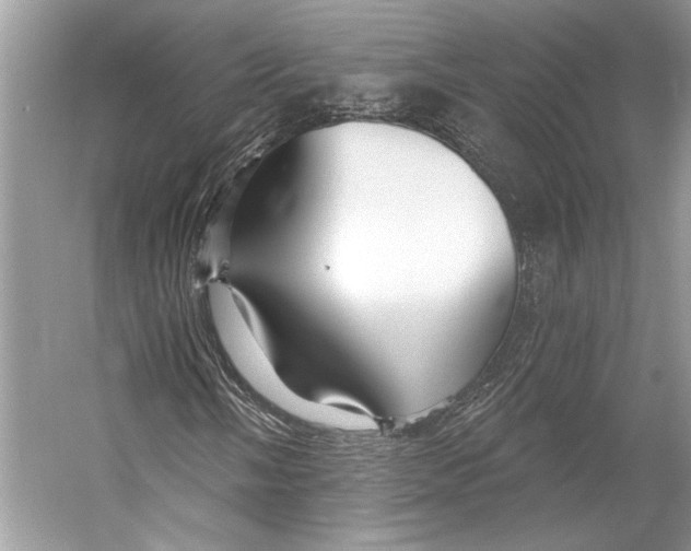 X0000053121058200508081246