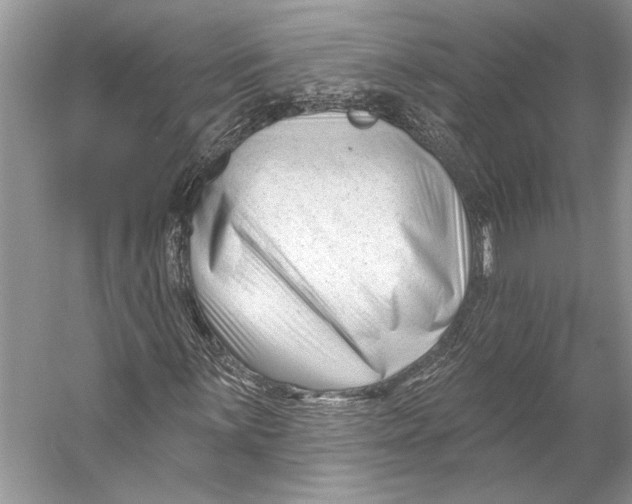 X0000053121059200508081246