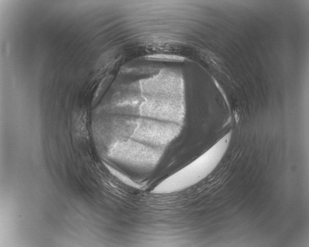 X0000053121060200508081246