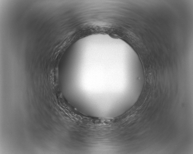 X0000053121061200508081246