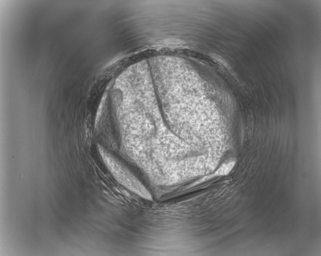 X0000053121063200508081246