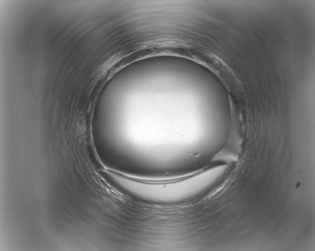 X0000053121065200508081246