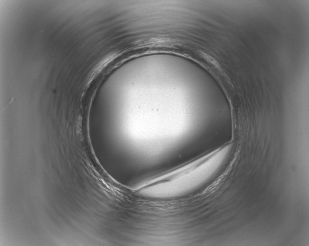 X0000053121066200508081246