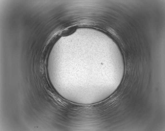 X0000053121067200508081246