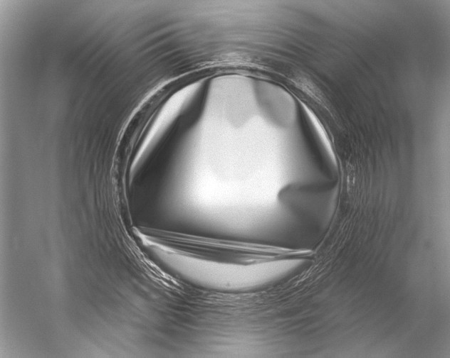 X0000053121068200508081246