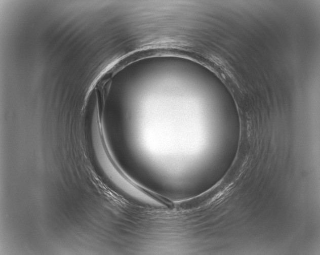 X0000053121069200508081246