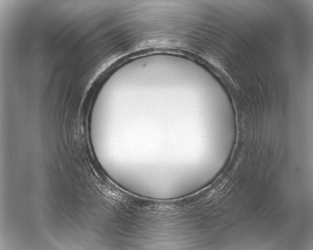 X0000053121070200508081245