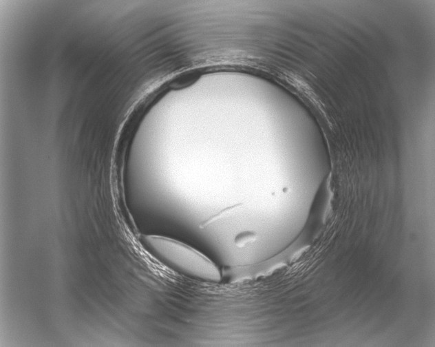 X0000053121072200508081245