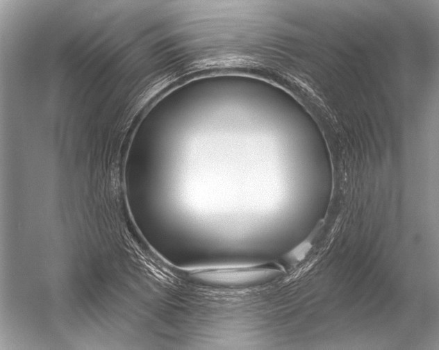 X0000053121073200508081245