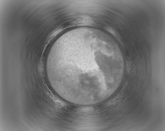 X0000053121074200508081245