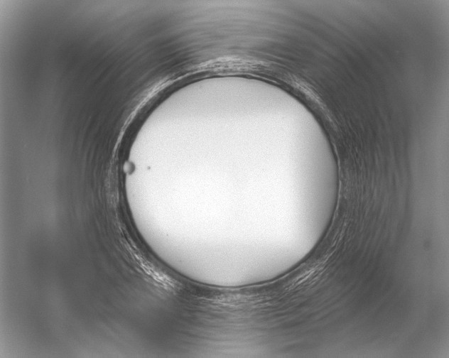 X0000053121075200508081245