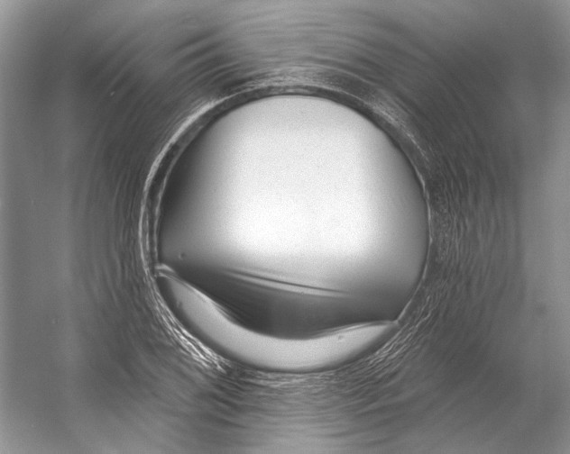 X0000053121076200508081245