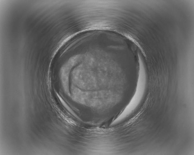 X0000053121077200508081245