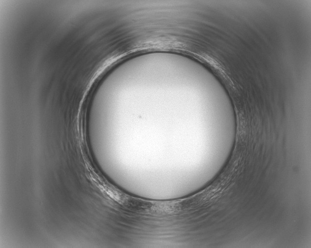 X0000053121078200508081245