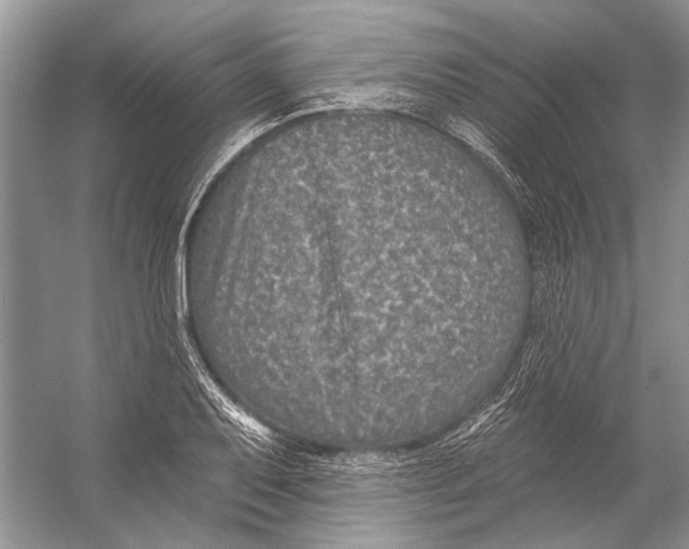 X0000053121079200508081245