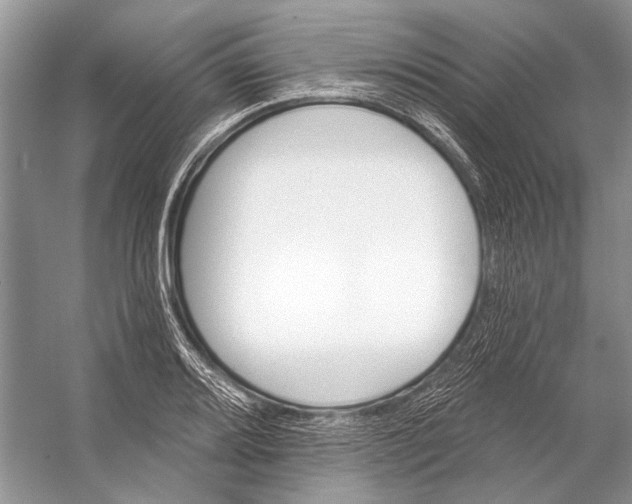 X0000053121080200508081245