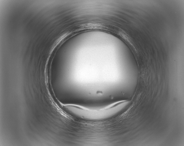 X0000053121082200508081245