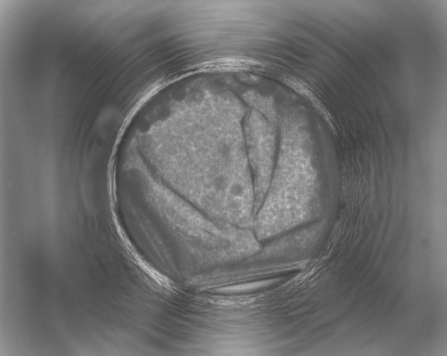 X0000053121083200508081245