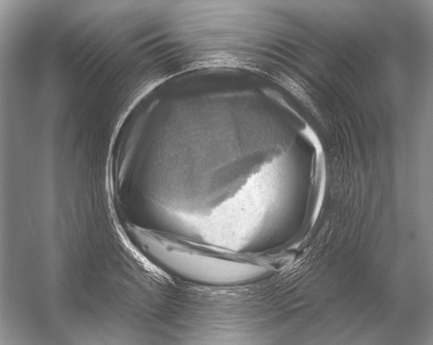 X0000053121084200508081245