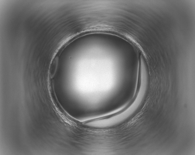 X0000053121085200508081245