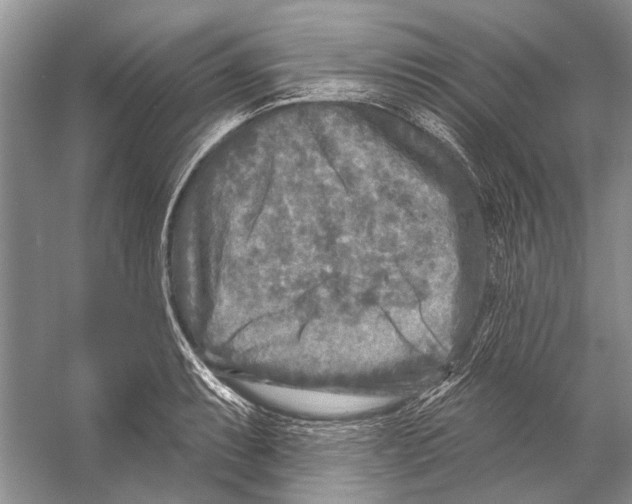 X0000053121087200508081245