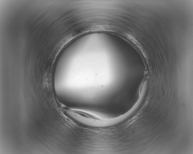 X0000053121089200508081245