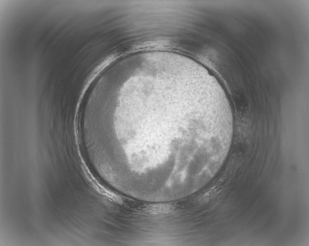 X0000053121090200508081245