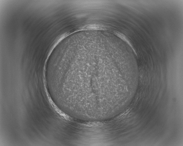 X0000053121091200508081245