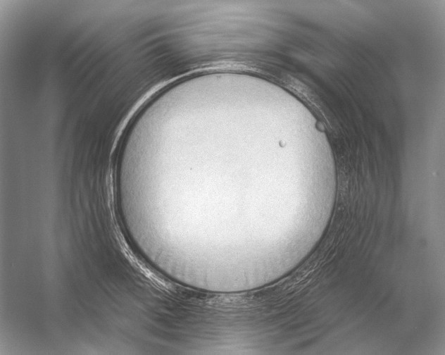 X0000053121092200508081245