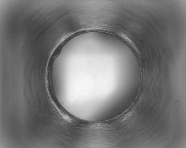 X0000053121093200508081245