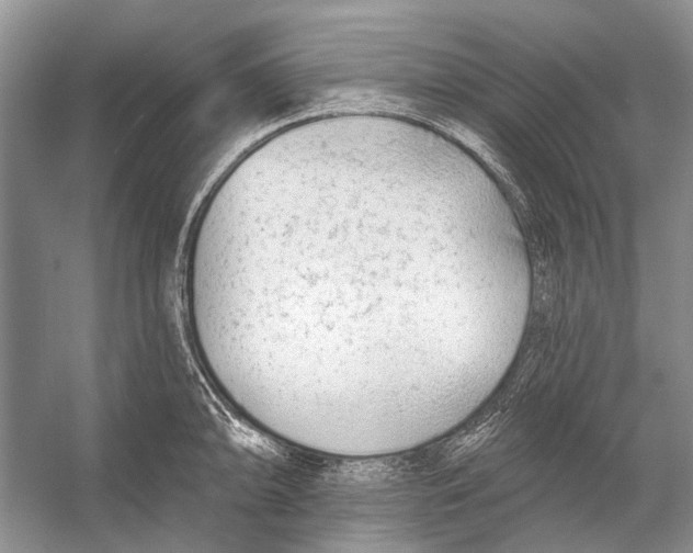 X0000053121094200508081245