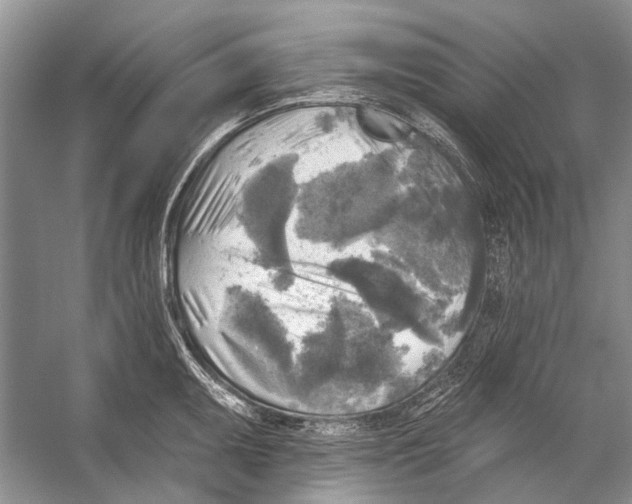 X0000053121095200508081245