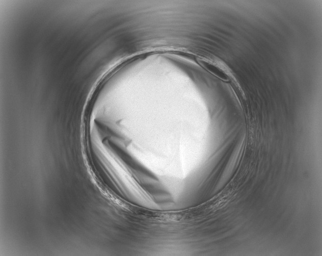 X0000053121096200508081245