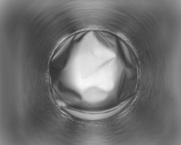 X0000053121097200508081245