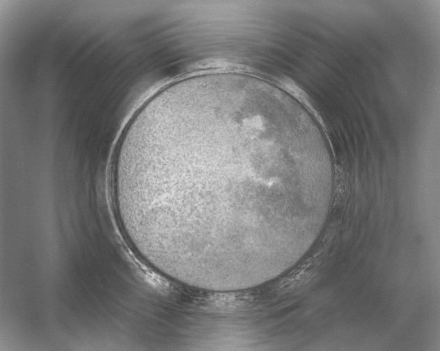 X0000053121098200508081245