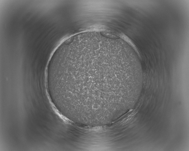 X0000053121099200508081245