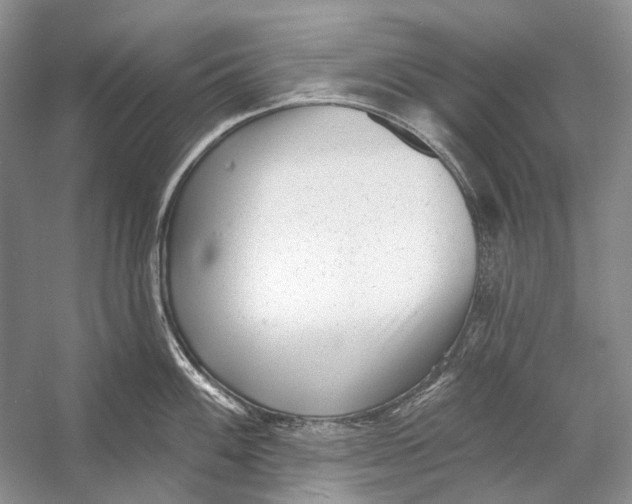 X0000053121100200508081245