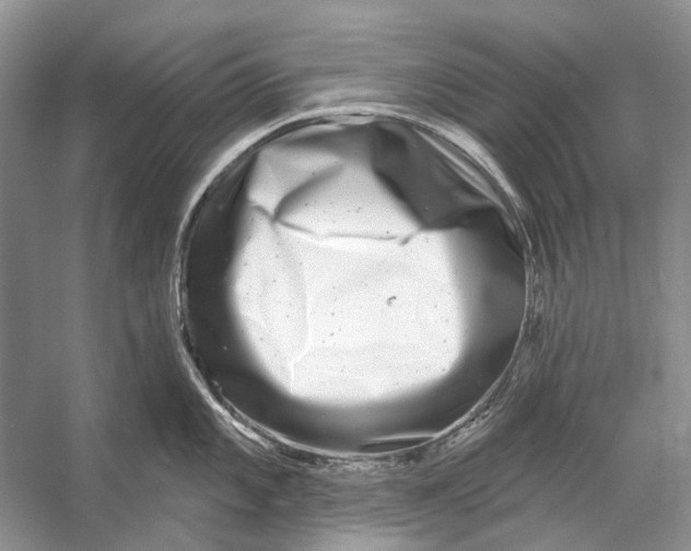 X0000053121101200508081245