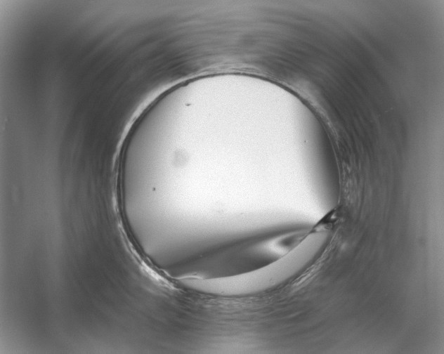 X0000053121102200508081245