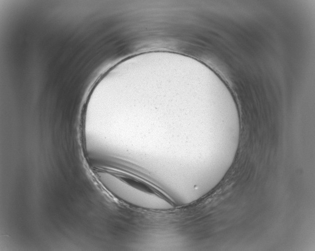 X0000053121104200508081245