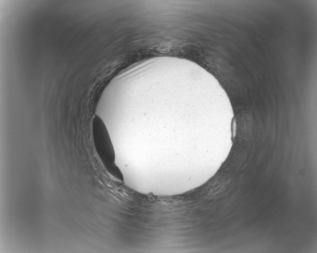 X0000053121105200508081244