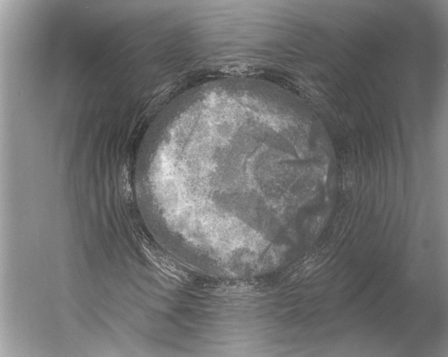 X0000053121106200508081244