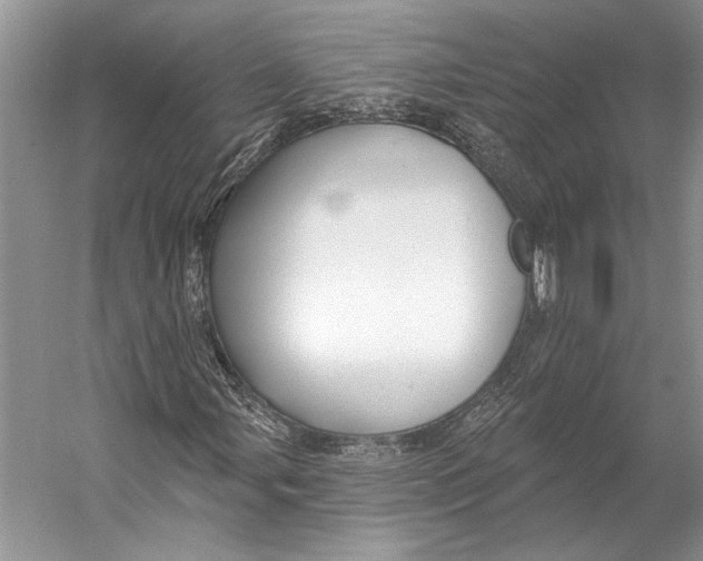 X0000053121107200508081244