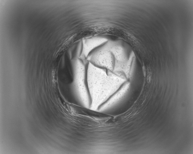 X0000053121108200508081244