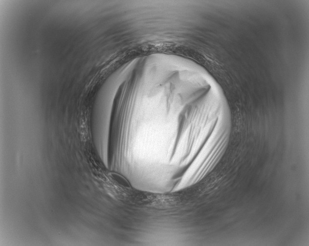 X0000053121109200508081244