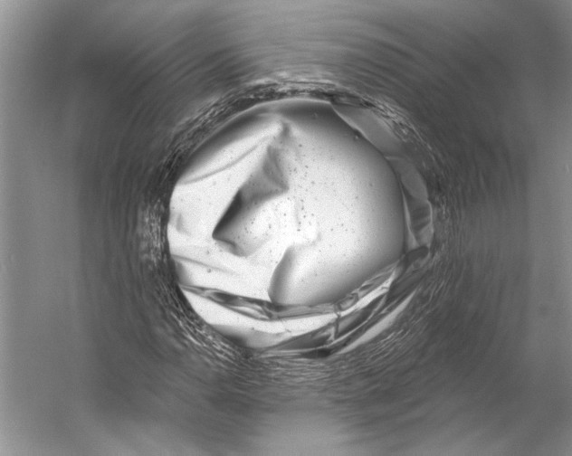 X0000053121110200508081244