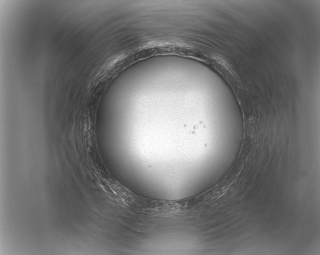 X0000053121111200508081244