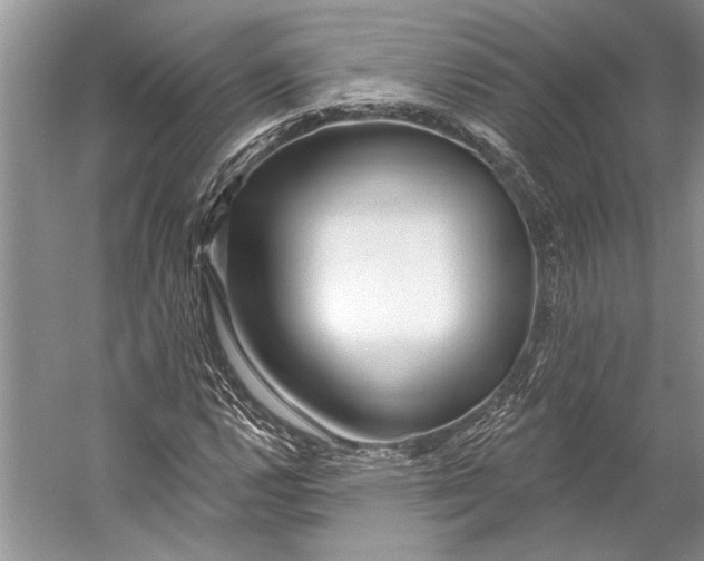 X0000053121112200508081244