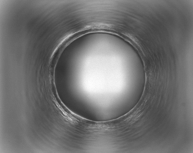 X0000053121115200508081244